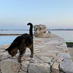 Bed & Breakfast Les Pieds Dans L'eau Sete