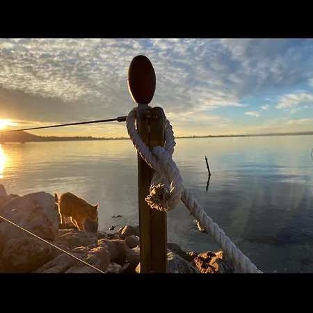 Les Pieds Dans L'eau 4*