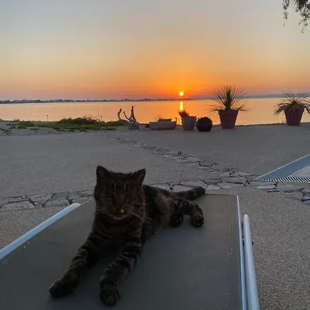 Les Pieds Dans L'eau Sète