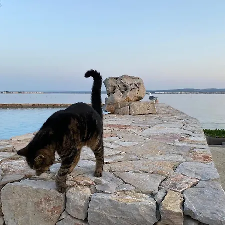 Frühstückspension Les Pieds Dans L'eau Sète