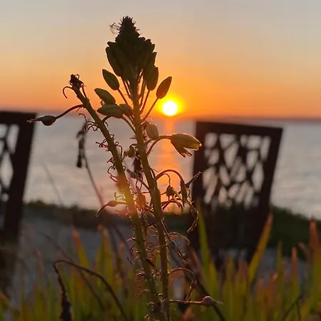 Les Pieds Dans L'eau Отель типа 