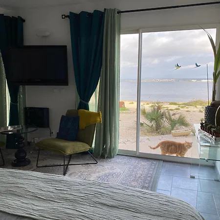 Les Pieds Dans L'eau Sète